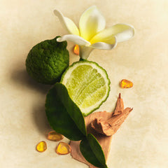 Skin Perfecting Body Lotion E4